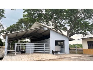 Finca ganadera de 121 hectáreas en venta en Polo Nuevo, Atlántico