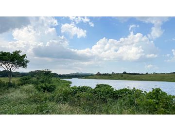 Finca ganadera de 121 hectáreas en venta en Polo Nuevo, Atlántico