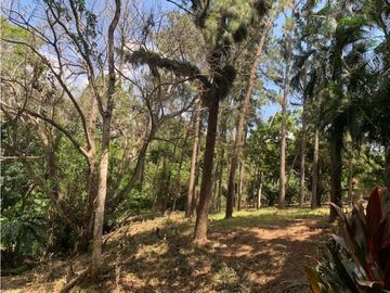 SE VENDE FINCA EN CERMEÑO