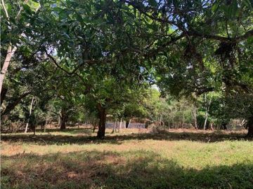 SE VENDE FINCA EN CERMEÑO