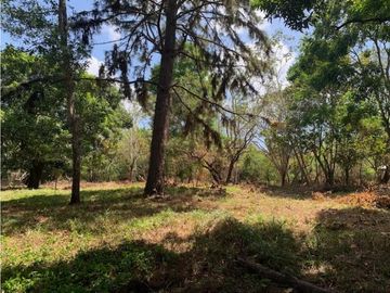 SE VENDE FINCA EN CERMEÑO