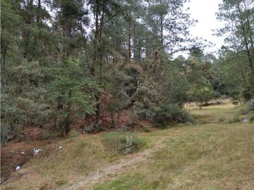 TERRENO BOSQUE VENTA EN OMITLAN, HIDALGO 17 HECTAREAS $40 PESOS METRO
