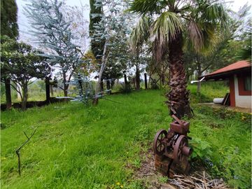 Se vende rancho en Bermudez, entrada a Huasca, hidalgo.