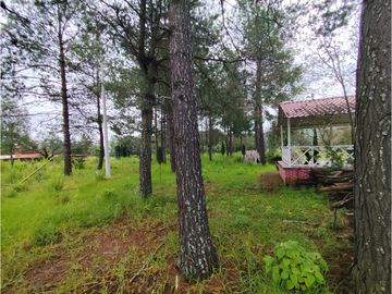 Se vende rancho en Bermudez, entrada a Huasca, hidalgo.