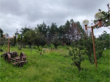 Se vende rancho en Bermudez, entrada a Huasca, hidalgo.