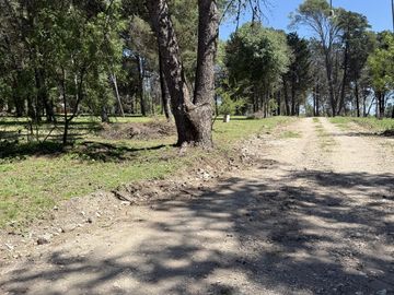 Terreno en  Villa General Belgrano Bosquecillo