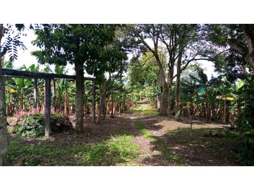 Se vende excelente finca en Montenegro