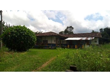 Se vende excelente finca en Montenegro
