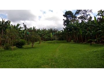 Se vende excelente finca en Montenegro