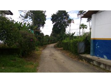 Se vende excelente finca en Montenegro