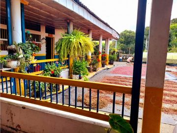 Se vende excelente finca en Montenegro