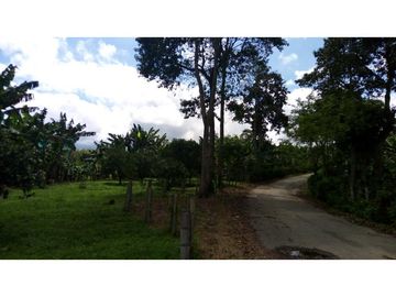 Se vende excelente finca en Montenegro
