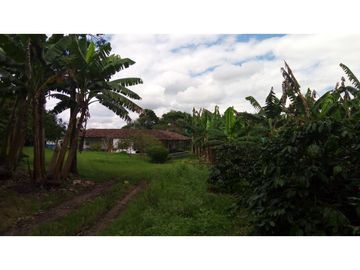 Se vende excelente finca en Montenegro