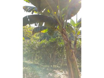 Casa para la venta en arabia, Pereira!!!