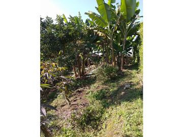 Casa para la venta en arabia, Pereira!!!