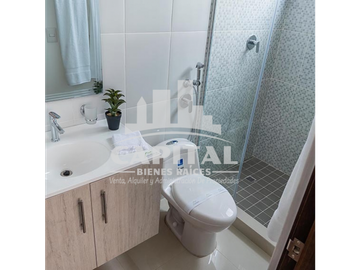 APARTAMENTOS EN LA 12  DE OCTUBRE
