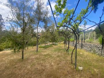 Parcela en Venta en Alcazar de Torres / VEGETACION