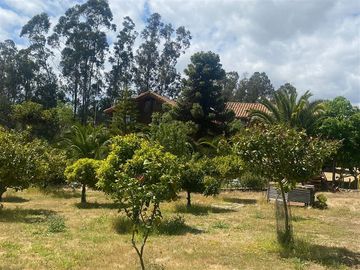 Parcela en Venta en Alcazar de Torres / VEGETACION