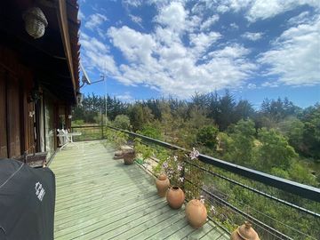 Parcela en Venta en Alcazar de Torres / VEGETACION