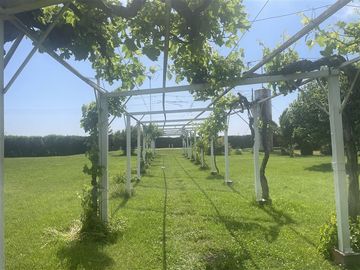 Agrícola en Venta en Ruta G 46 / Las Tortolas