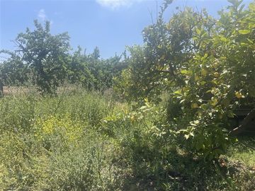 Agrícola en Venta en Ruta G 46 / Las Tortolas