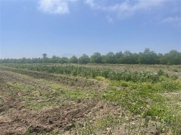 Agrícola en Venta en Ruta G 46 / Las Tortolas