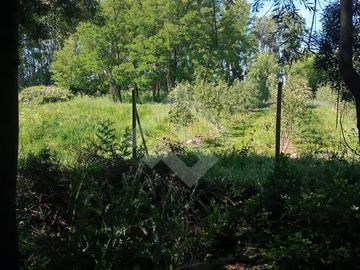 Agrícola en Venta en Camino La Palmilla, Cruce Casa Blanca Norte