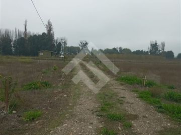 Agrícola en Venta en Camino La Palmilla, Cruce Casa Blanca Norte