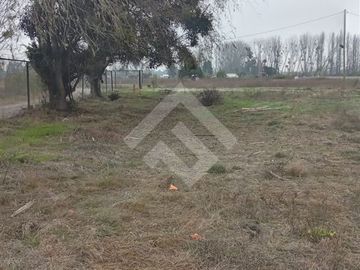Agrícola en Venta en Camino La Palmilla, Cruce Casa Blanca Norte