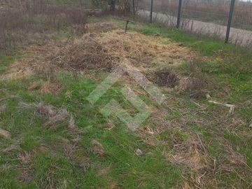 Agrícola en Venta en Camino La Palmilla, Cruce Casa Blanca Norte