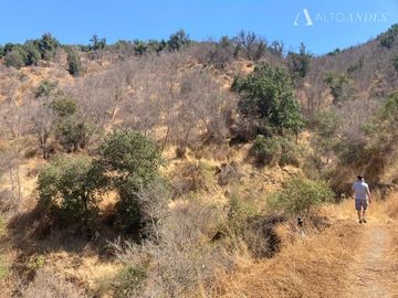 Sitio en Venta en Ocoa