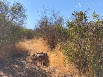Sitio en Venta en Ocoa