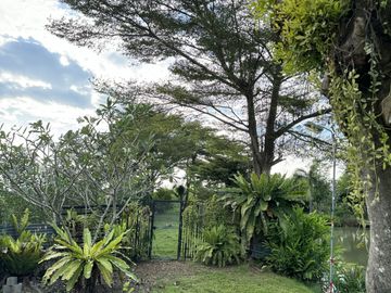 3 Bedroom House for sale in Sam Wa Tawan Ok, Bangkok