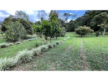 VENTA DE FINCA EN SALENTO, QUINDO, COLOMBIA