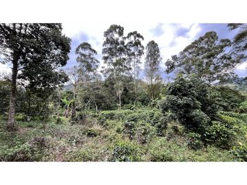 VENTA DE FINCA EN SALENTO, QUINDO, COLOMBIA