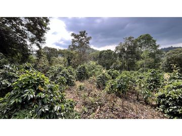 VENTA DE FINCA EN SALENTO, QUINDO, COLOMBIA
