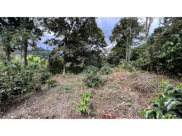 VENTA DE FINCA EN SALENTO, QUINDO, COLOMBIA