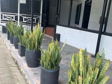 CASA EN VENTA EN AVENIDA CENTENARIO ARMENIA QUINDIO