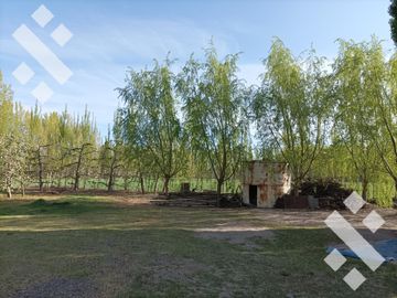 Venta 4.8 Hectáreas con CASA - Cipolletti - Rio Negro