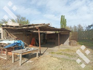 Venta 4.8 Hectáreas con CASA - Cipolletti - Rio Negro