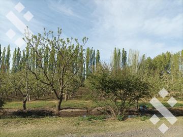 Venta 4.8 Hectáreas con CASA - Cipolletti - Rio Negro