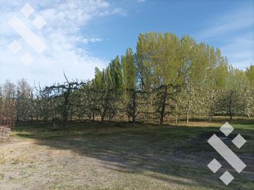 Venta 4.8 Hectáreas con CASA - Cipolletti - Rio Negro