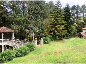 Finca Santa Elena Vereda Piedra Gorda