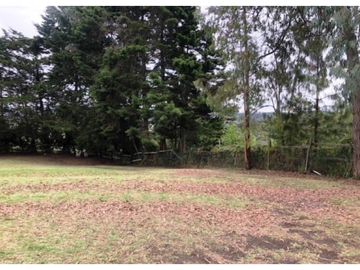 Finca Santa Elena Vereda Piedra Gorda