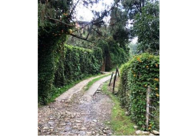 Finca Santa Elena Vereda Piedra Gorda