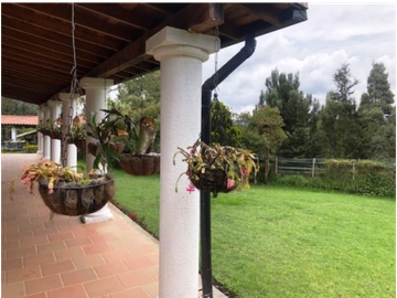 Finca Santa Elena Vereda Piedra Gorda