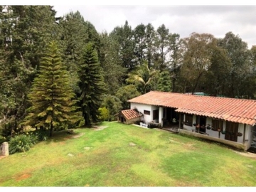 Finca Santa Elena Vereda Piedra Gorda