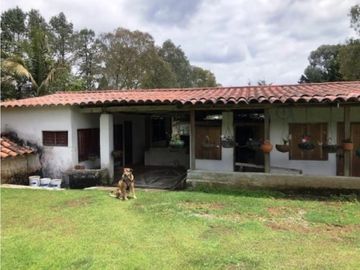 Finca Santa Elena Vereda Piedra Gorda