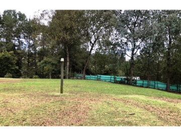 Finca Santa Elena Vereda Piedra Gorda