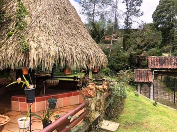 Finca Santa Elena Vereda Piedra Gorda